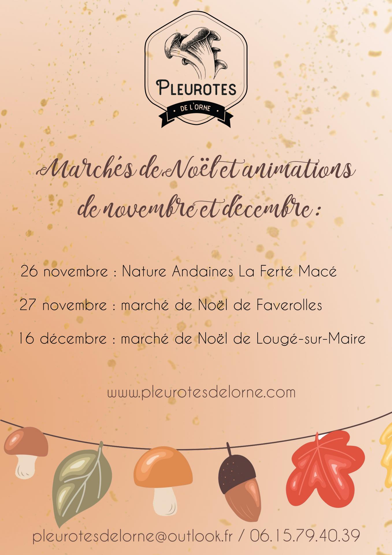 Affiche marches de noel 2022