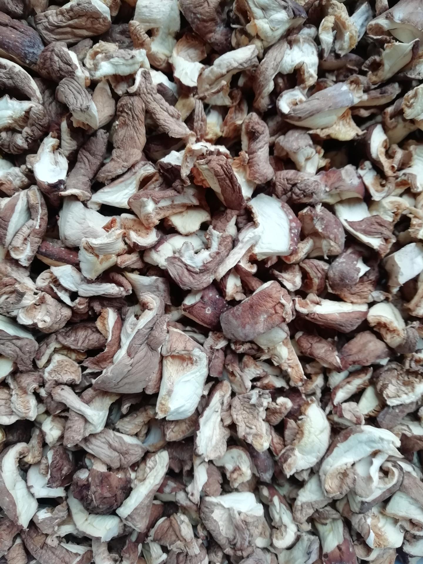 champignons déshydratés : pleurotes ou shiitakes de pleurotes de l'Orne